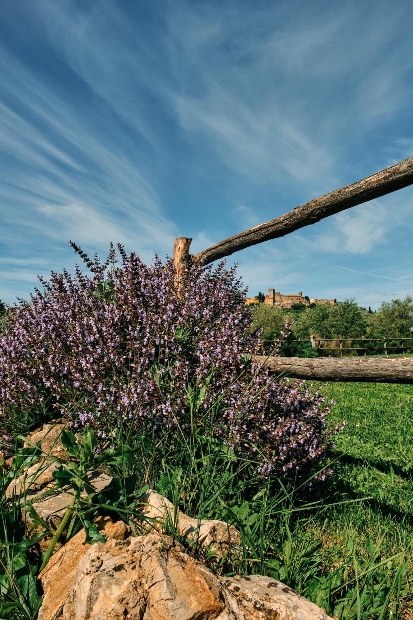 8380 Agriturismo Il Saragiolo Manciano Exterior photo